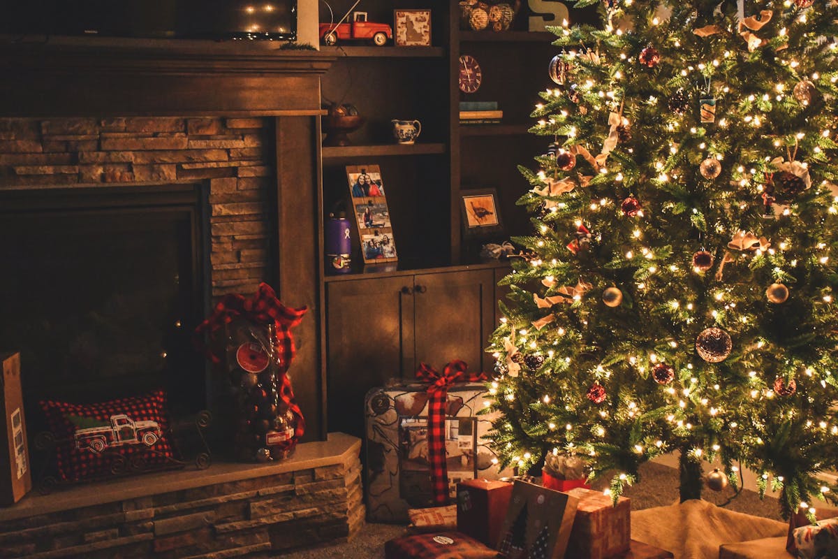 Historia świątecznego drzewka. Skąd wzięła się tradycja choinki?